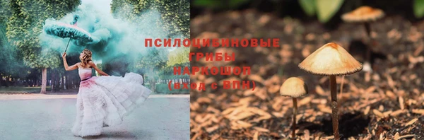 прущие грибы Нея