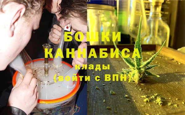 стафф Нефтегорск