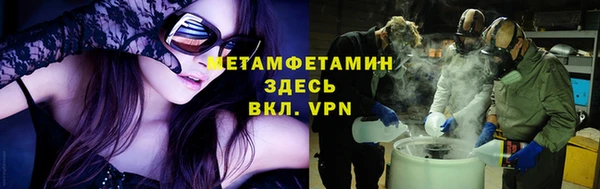 прущие грибы Нея