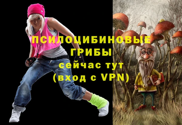 прущие грибы Нея