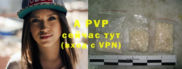 прущие грибы Нея