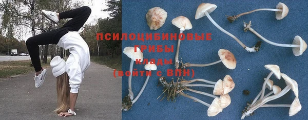 прущие грибы Нея