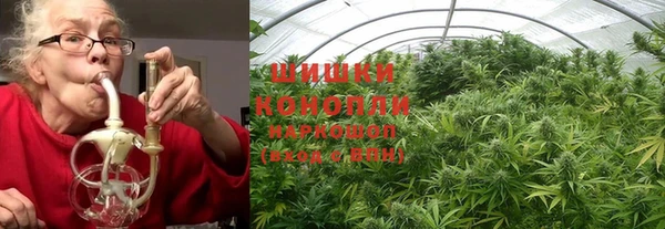 стафф Нефтегорск