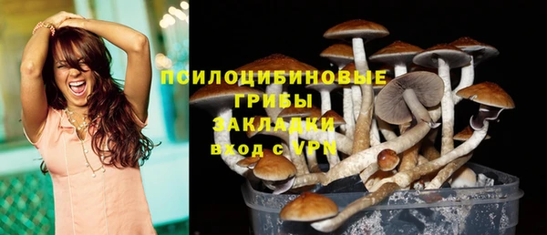 стафф Нефтегорск