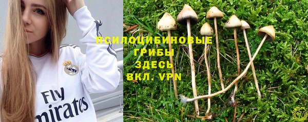 прущие грибы Нея