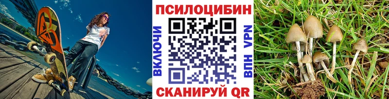Псилоцибиновые грибы Psilocybine cubensis  Купить закладки  Торжок 